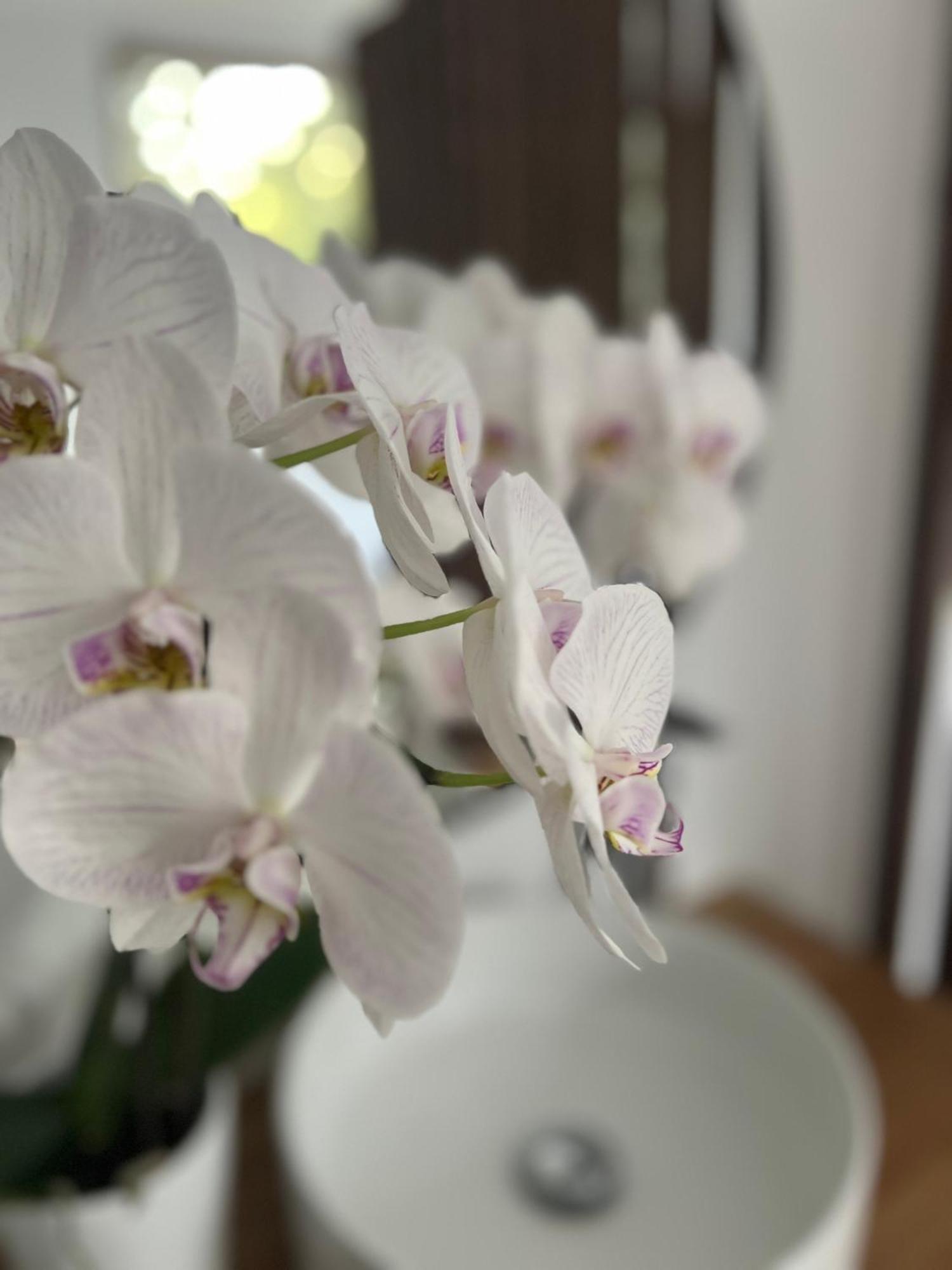 La Canopee Private Ecolodges Ним Экстерьер фото